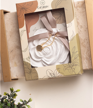 Gesso Perfumado Rosa + Mini Home Spray